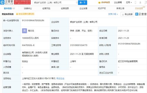 國內貿易代理 連接生產與消費的專業橋梁